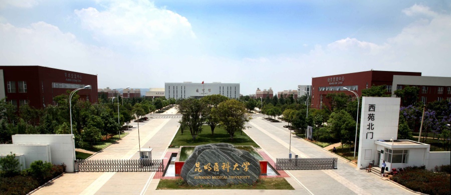 CSC Scholarships for Kunming Medical University